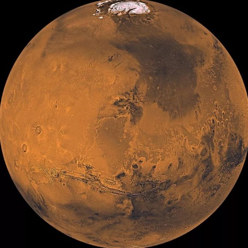 Organizatorių nuotr.