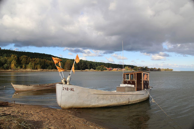 Birutė JANKUVIENĖ