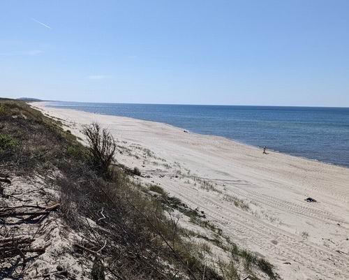 Organizatorių nuotr.