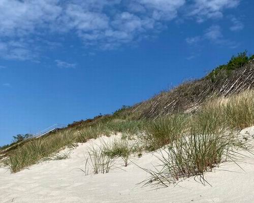 Organizatorių nuotr.