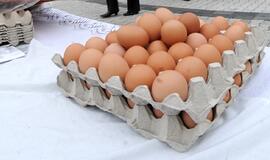 Palangos turgaus šventė: kiaušiniais - į taikinį