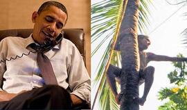 Mumbajus saugo Baraką Obamą nuo krentančių kokoso riešutų