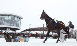 Sartų žirgų lenktynės: Didysis žiemos prizas keliaus į Estiją