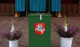 Seimas imasi tiesioginių merų rinkimų įteisinimo