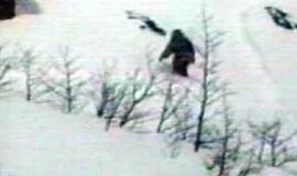 Sibiro regionas skelbia nustatęs, kad sniego žmogus iš tikrųjų egzistuoja