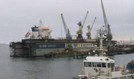 "Laivitės" dokas aptiktas Banginių įlankoje