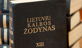 Tikimasi, kad įstatymas įtvirtins lietuvių kalbą visose viešojo gyvenimo srityse