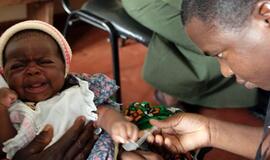 Kovai su maliarija – galingas vaistas