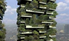 Milane kyla vertikalus miškas