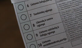 Išrinkti 11 Lietuvos europarlamentarų