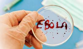 Mirusiųjų nuo Ebolos viruso skaičius jau siekia beveik 5000