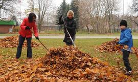 "Mano miestas Klaipėda" kviečia grėbti lapų
