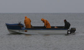 Naikinama šprotų ir strimelių žvejybos monopolija Baltijos jūroje