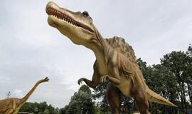 Kodėl išmirė dinozaurai