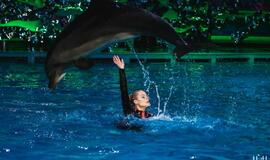 Delfinai ir žvaigždės: Nijolė Pareigytė-Rukaitienė