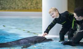 Delfinų terapija bus pristatoma Kurtuvėnuose