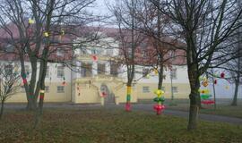 Menų gimnazijos parke -  tautinės spalvos