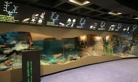 Atsinaujinęs Jūrų muziejus - stebinantis ir svaiginantis