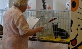 Kačių parodoje - ir miniatiūrinė pantera