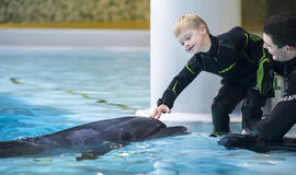 Neįgaliems vaikams dovanojo draugystę su delfinais