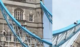 Eismą Tauerio tiltu Londone sustabdė ant jo besideginantis vyras