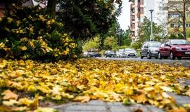 Kur dingsta iš kiemų ir gatvių surinkti lapai