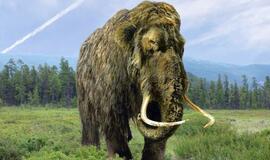 Rusijoje aptiktas paslaptingas iš šimtų mamutų kaulų sudėliotas Ledynmečio statinys