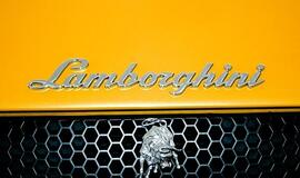 JAV už „Lamborghini“ vairo nutvertas penkiametis