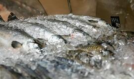 „Maxima“ atsisakė 104 gyvos žuvies akvariumų