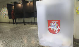Dalyvauti referendume ir prezidento rinkimuose registravosi 48 tūkst. užsienio lietuvių