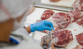 Sustabdyta mėsos gamintojos veikla