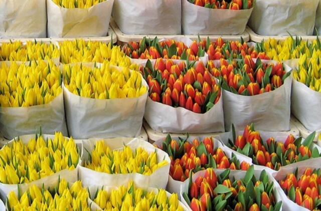 Vilniuje ir Kaune - šešėlinis gėlių prekybos verslas