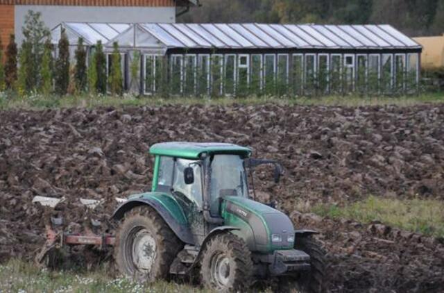 Baltarusijoje ketvirtadalis žemės ūkio produkcijos užauginama užterštose teritorijose