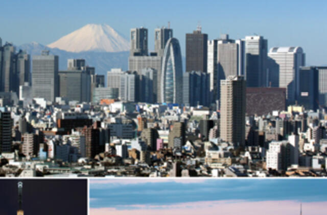 Per ateinančius 90 metų Tokijo gyventojų skaičius sumažės perpus