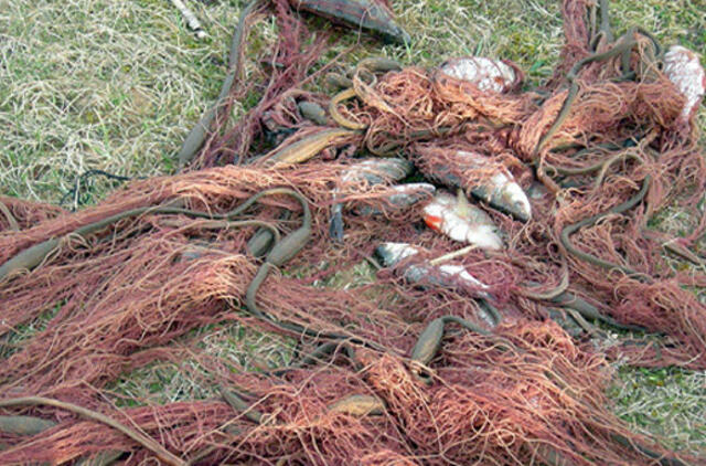 Nuomojamuose vandens telkiniuose uždraudžiama žvejoti tinklais ir gaudyklėmis