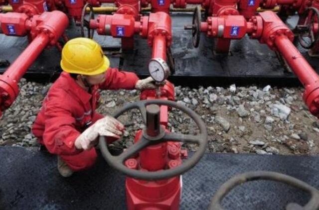 Ekspertai už 120000 litų pasiūlė ieškoti skalūnų dujų