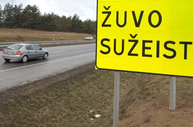 Per savaitę Lietuvos keliuose žuvo 7 žmonės