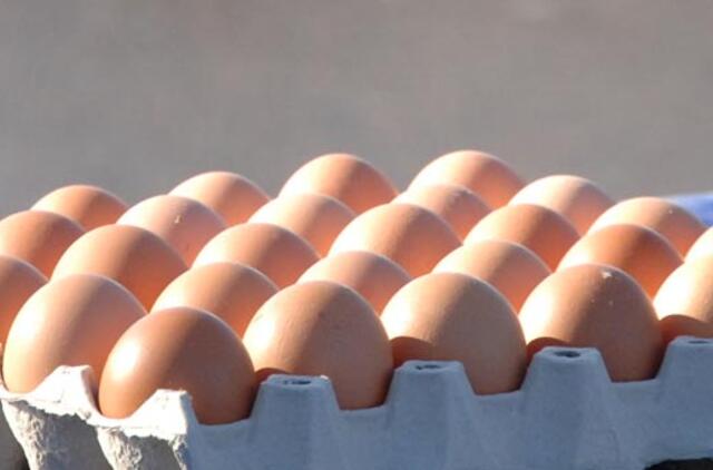Protestuotojo prieš gėjų eitynes kuprinėje - kiaušiniai