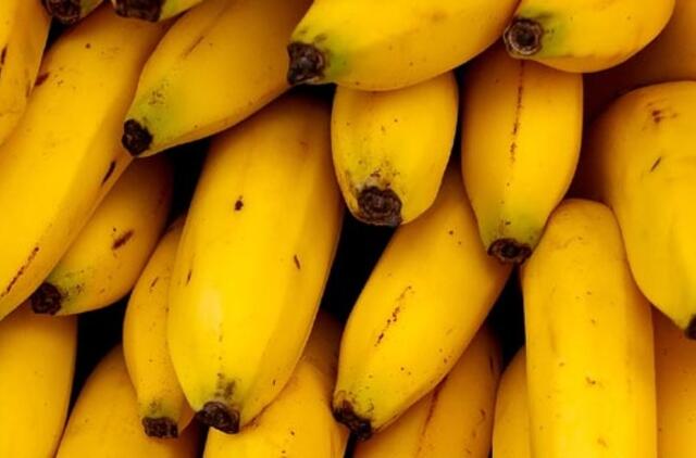 Britai kasmet išmeta daugiau kaip 160 milijonų bananų