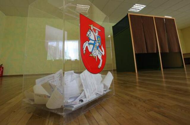 Seimo rinkimus stebės ir "Baltosios pirštinės"