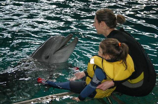 Delfinų daromi stebuklai