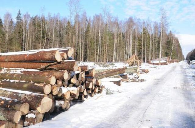 Miškų valdymo reformos kritikai perspėja apie galimus pavojus