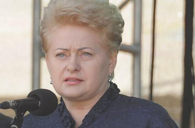 Prezidentė Dalia Grybauskaitė: reformų laikmetis turės politinio nestabilumo foną