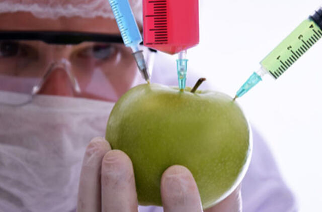 Kada genetiškai modifikuotas obuolys nelaikomas genetiškai modifikuotu?