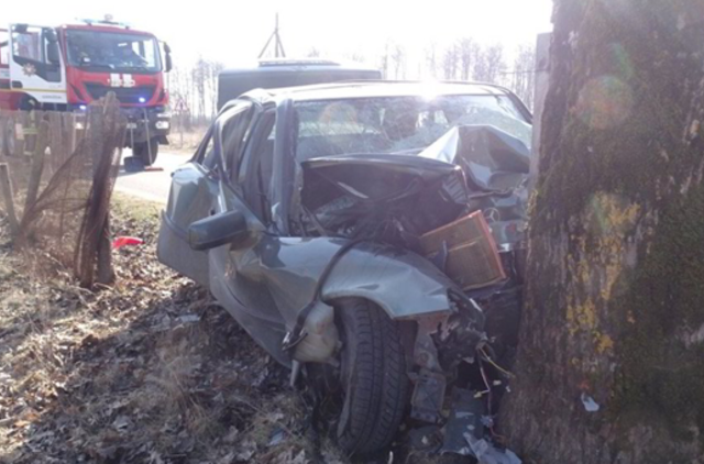 Klaipėdos rajone automobilis atsitrenkė į medį