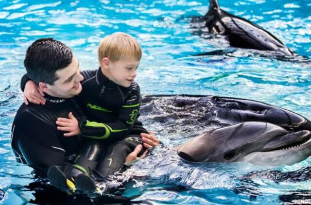 Penkiolikai šeimų - nemokama delfinų terapija