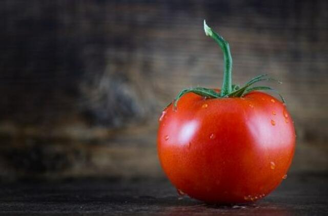 Lietuviškų pomidorų sezonas: valgyti siūlo daug ir kasdien