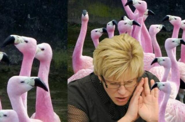 I.Šimonytė nekenčia rožinių flamingų