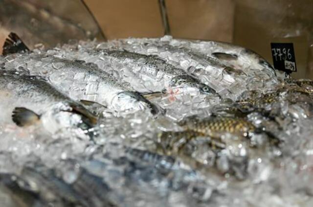 „Maxima“ atsisakė 104 gyvos žuvies akvariumų