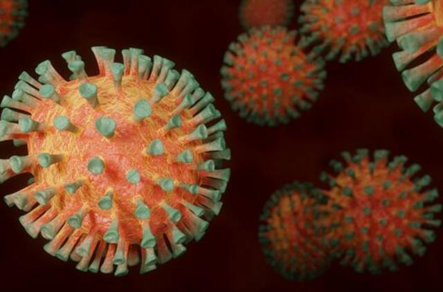 Praėjusią parą šalyje 23 nauji koronaviruso atvejai